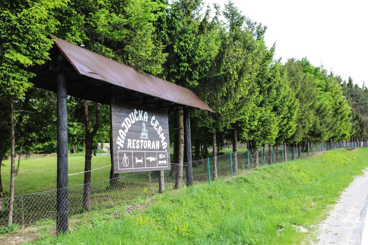 Holiday Park Hajducka Cesma Dubovsko エクステリア 写真